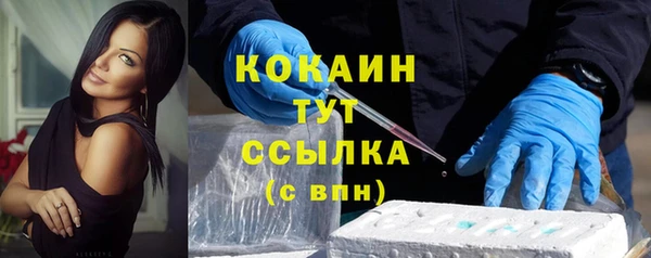 ГАЛЛЮЦИНОГЕННЫЕ ГРИБЫ Абаза