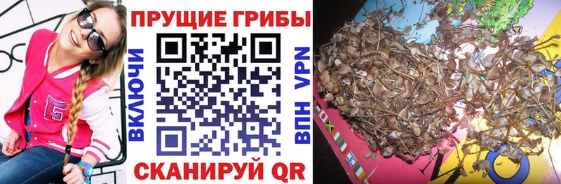Псилоцибиновые грибы прущие грибы  Партизанск 